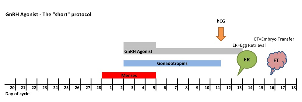 GnRH Agonist Egg Retrieval & Addition of Sperm - กุลพัฒน์การแพทย์ สหคลินิก