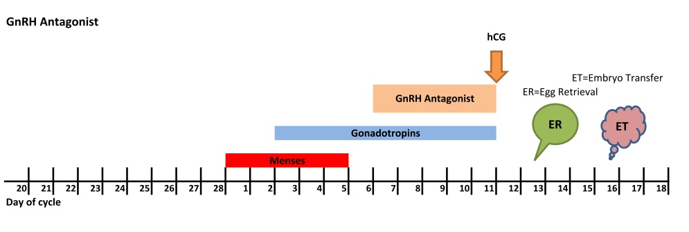 GnRH Agonist Egg Retrieval & Addition of Sperm - กุลพัฒน์การแพทย์ สหคลินิก
